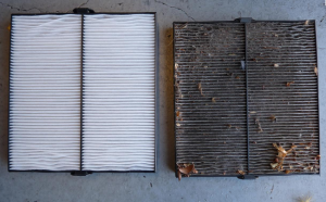 Cabin Air Filter